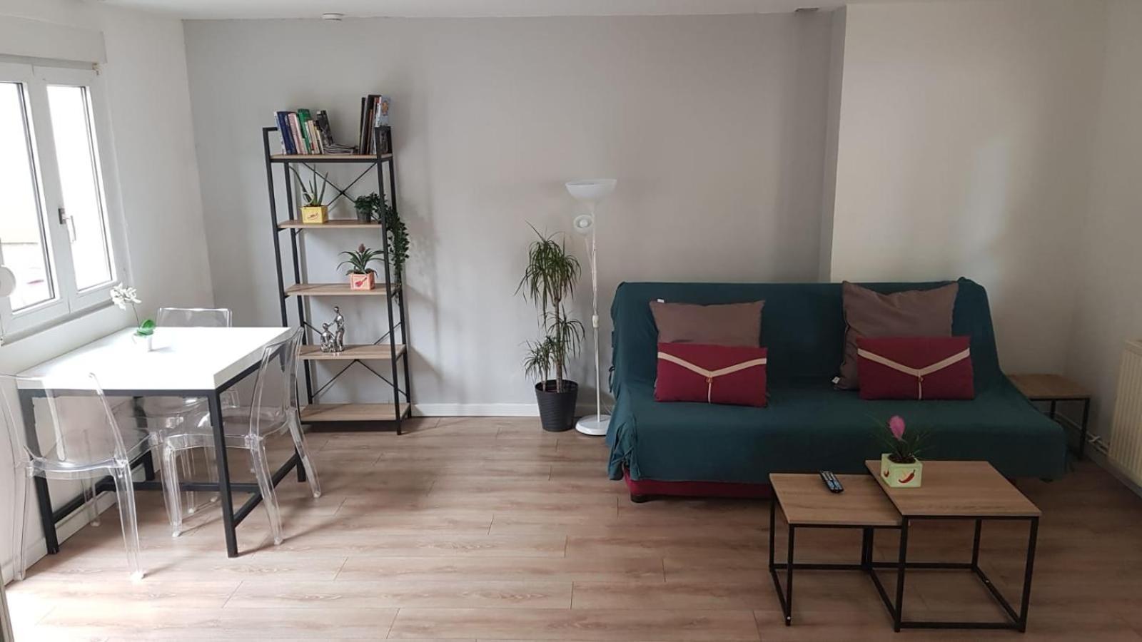 May Lovers Cosy Appart + Terrasse Near City Center ستراسبورغ المظهر الخارجي الصورة
